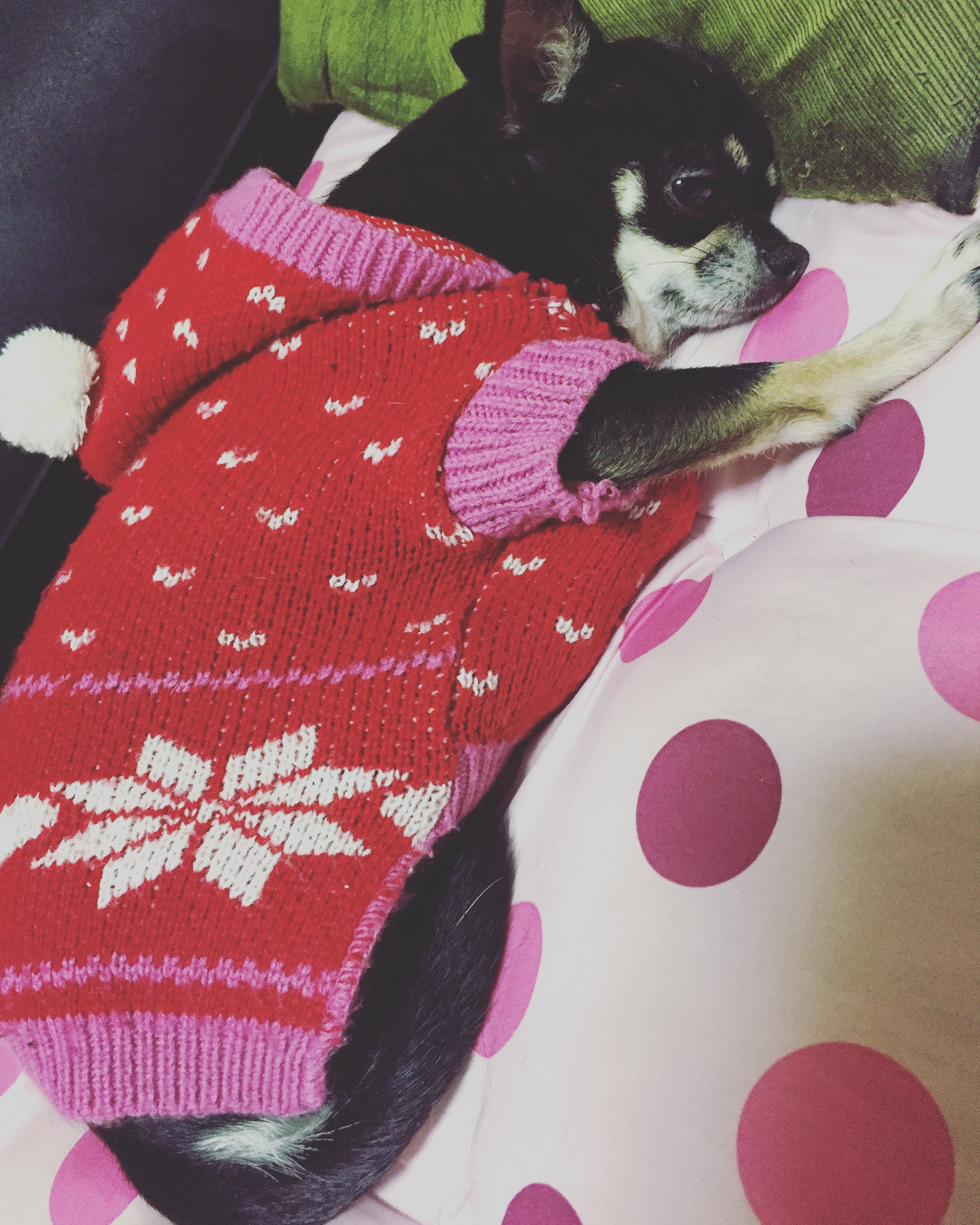 大丈夫でしたか？？